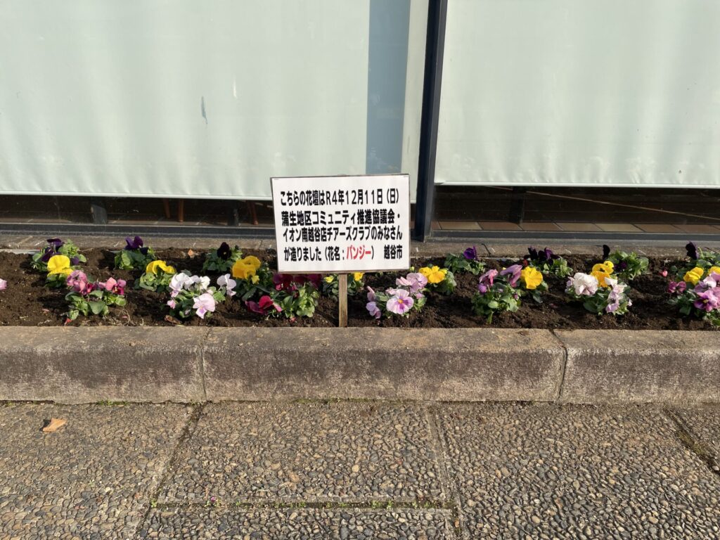 越谷サンシティ 花壇 12月11日 花の植替えしました